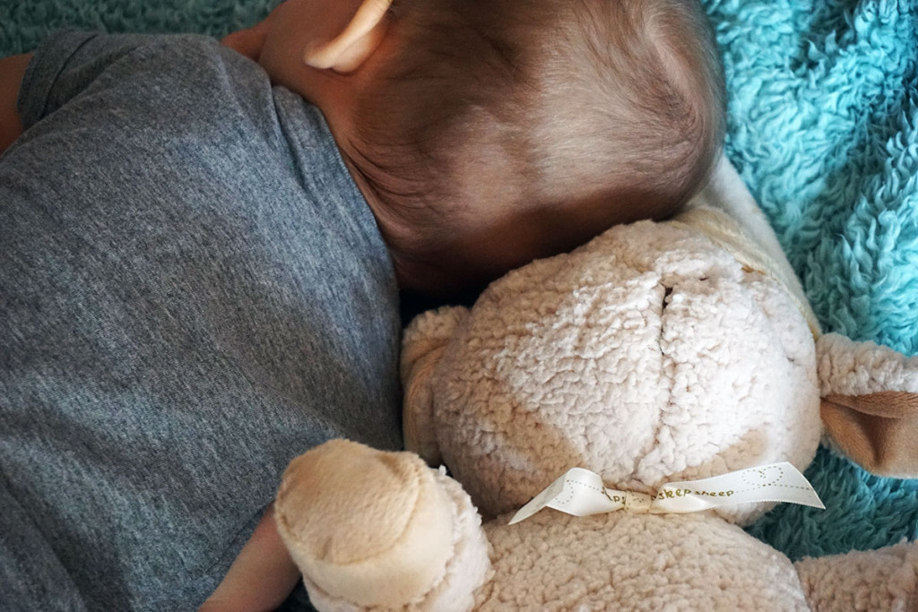 Śpiąca owieczka Cloud B