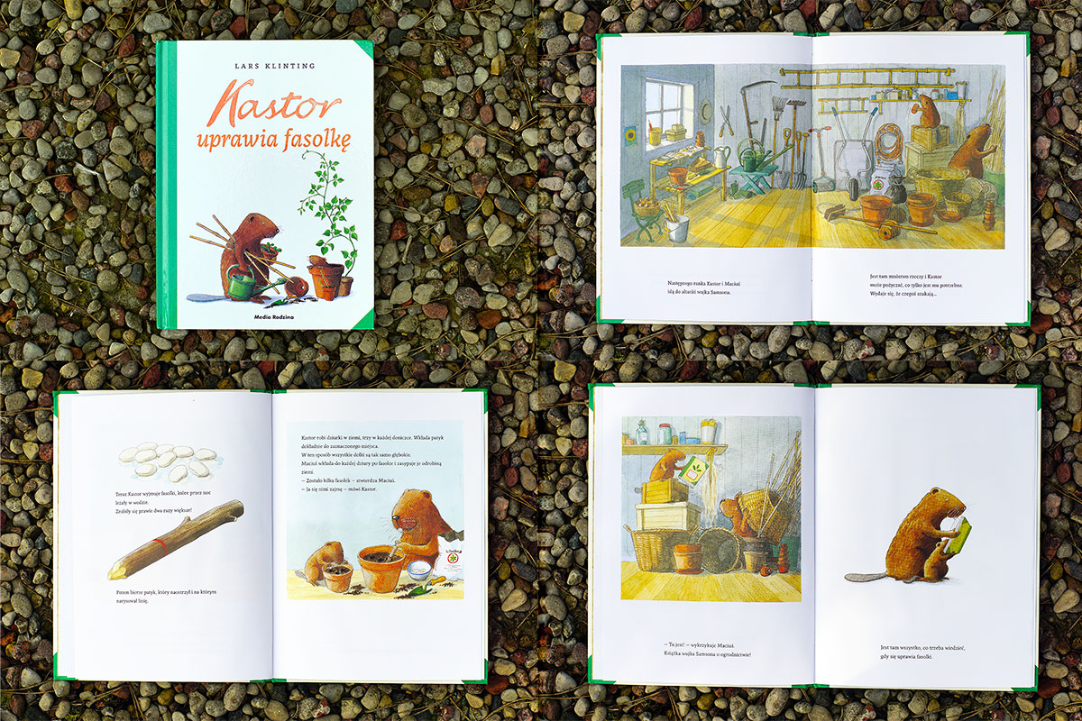 Przygody bobra Kastora