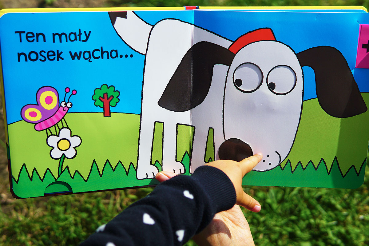 Ruchome książki dla najmłodszych