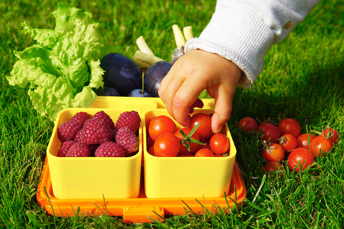 Czas na lunch z MonBento Tresor Czas na lunch z MonBento Tresor