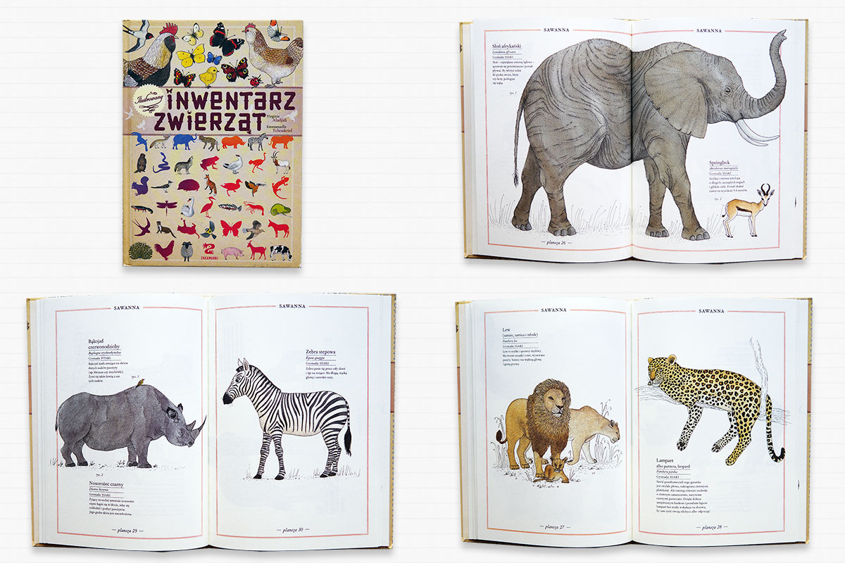 Zakamarki na zimowe wieczory